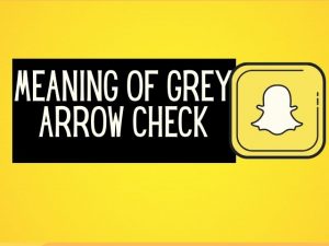 Snapchat grey arrow check