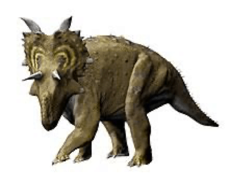 Xenoceratops - Wikipedia