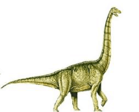 Xenoposeidon | Cool Dino Facts Wiki | Fandom