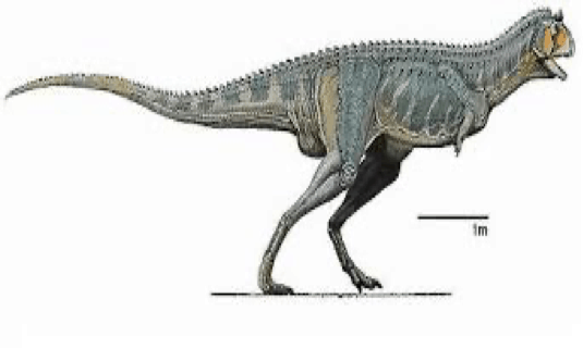 xenotarsosaurus - Google Search | Prehistoric animals, Weird creatures,  Dinosaur illustration