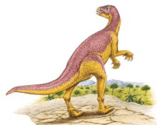 Xiaosaurus Pictures & Facts - The Dinosaur Database