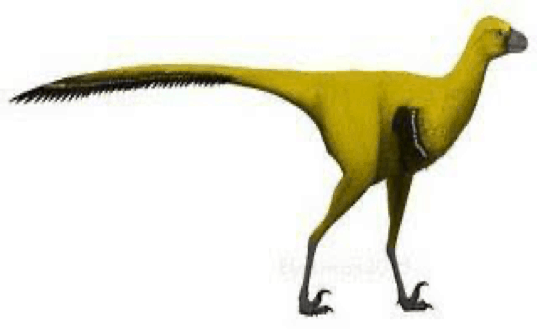 Xinjiangovenator Pictures & Facts - The Dinosaur Database