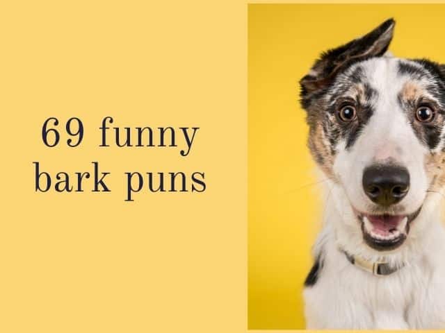 bark puns