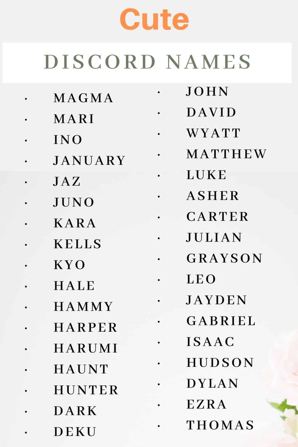 Funny, Cool And Creative Clown Names For Boys And Girls (2023) Kids n