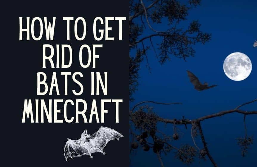 How to get rid of bats in Minecraft