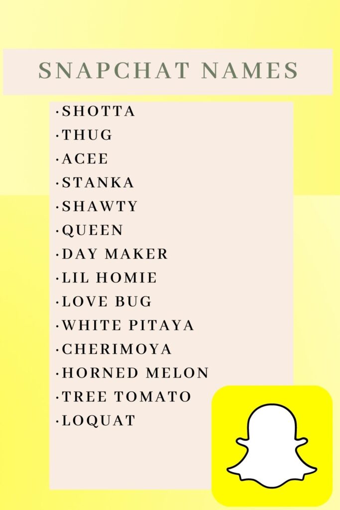 popular snapchat username ideas