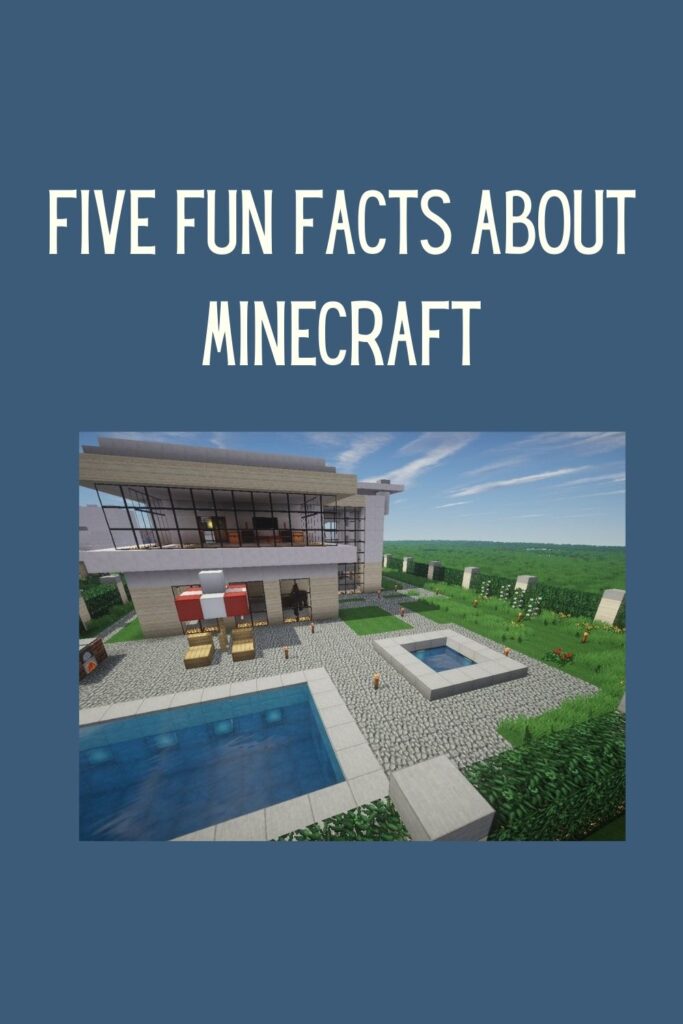 Five questions about Minecraft