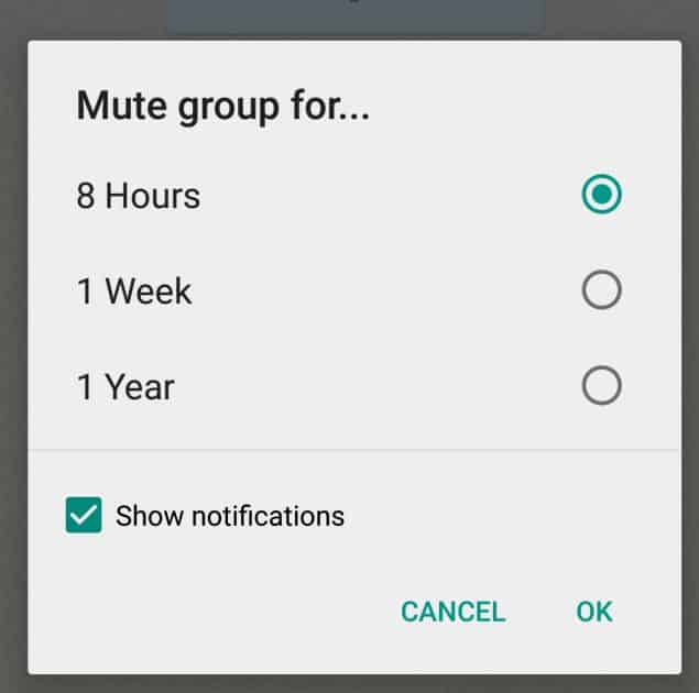 How to send a blank message on WhatsApp? Quick guide - Kids n Clicks