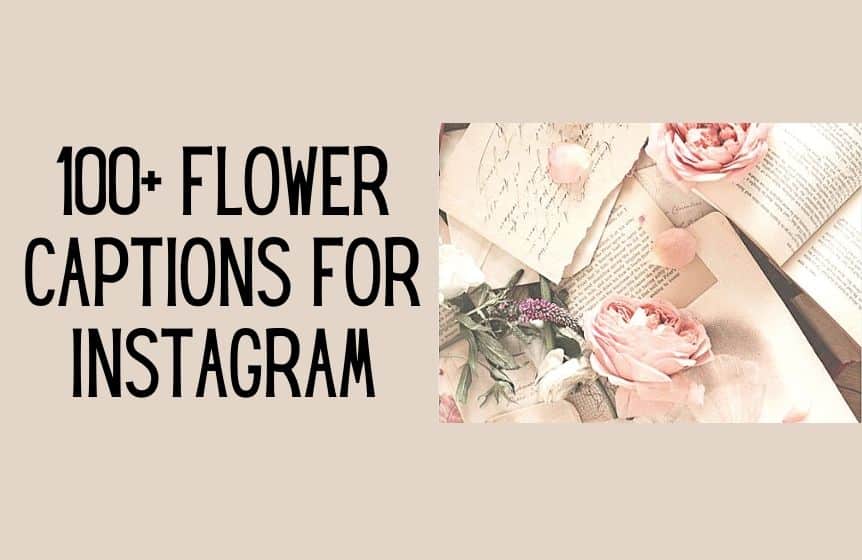 100 Amazing And Catchy Flower Captions For Instagram Shopdothang