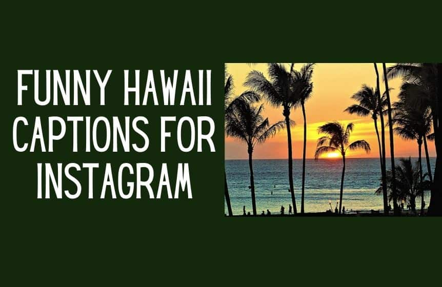 50+ Awesome & unique Hawaii captions for Instagram - Kids n Clicks
