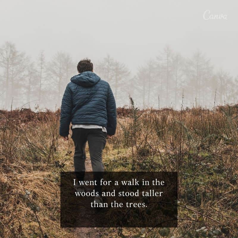 walk quotes for Instagram