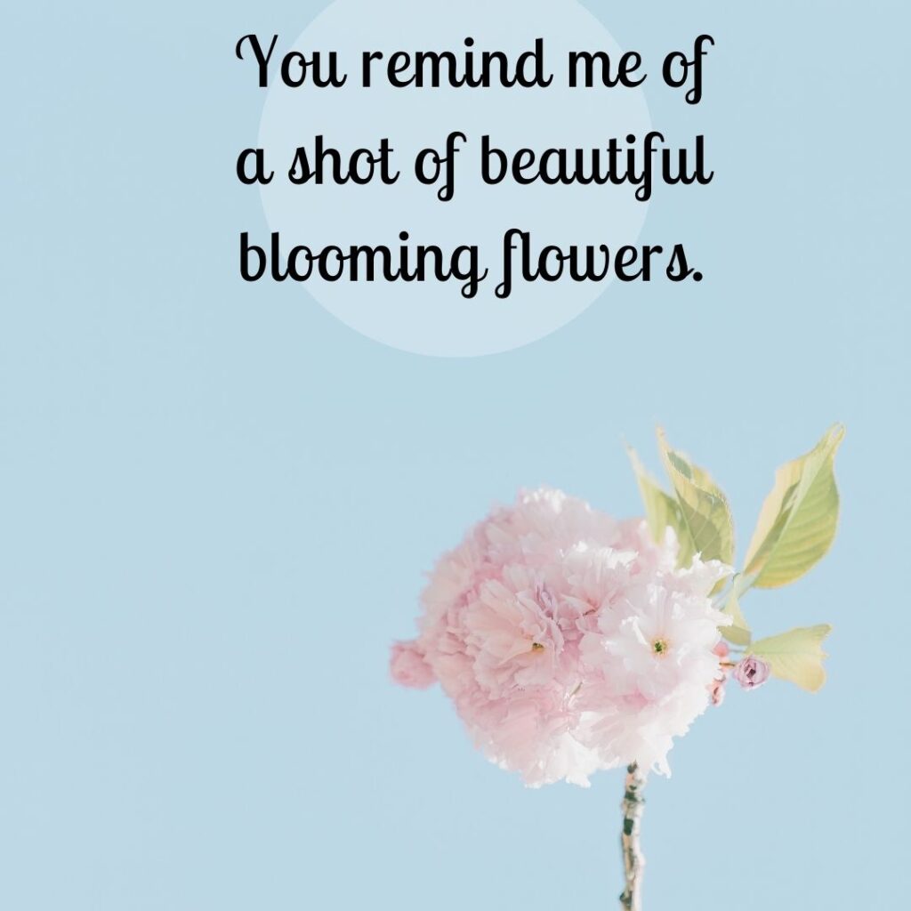 Flower captions for Instagram