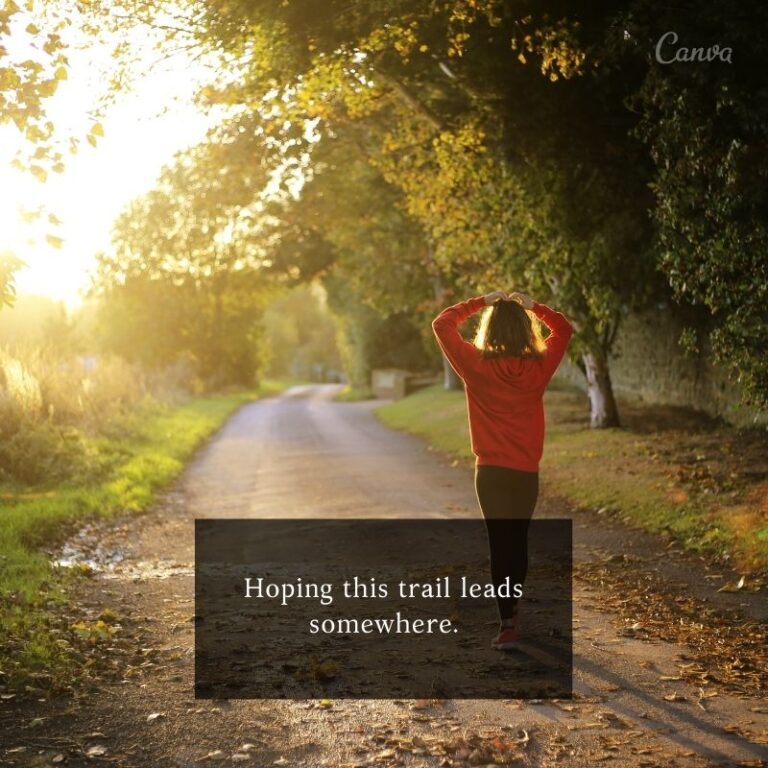 200 Best Hiking Walk Quotes For Instagram Kids N Clicks