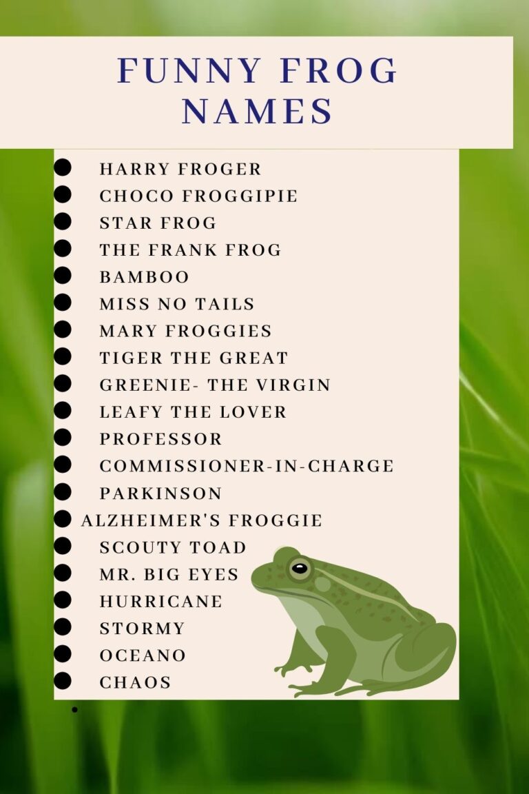 What Is A Good Frog Name? A Comprehensive Guide For Frog Lovers