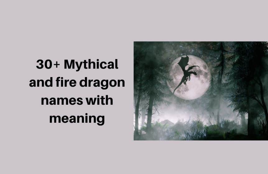 30-mythical-and-fire-dragon-names-with-meaning-2022