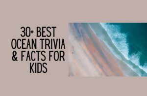 30+ Best ocean trivia & facts for kids
