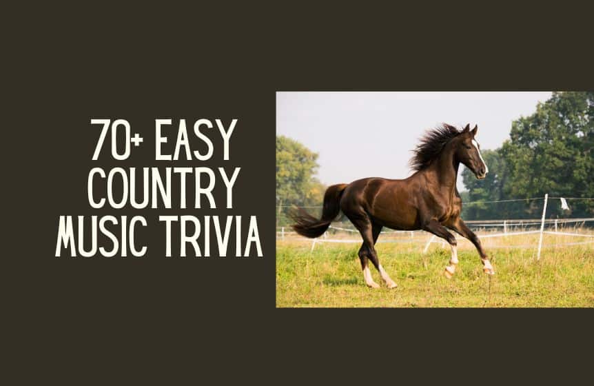 35+ Easy horse trivia questions with answers