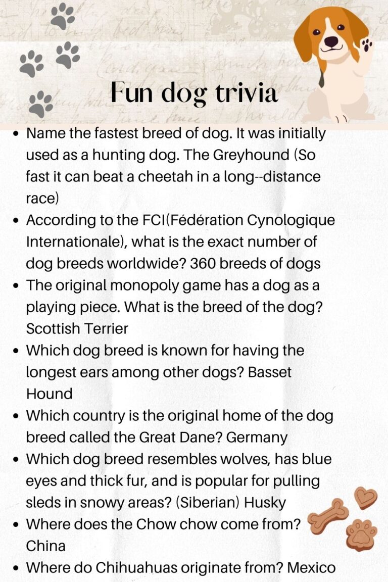 30+ Best dog trivia quiz with answers - Kids n Clicks