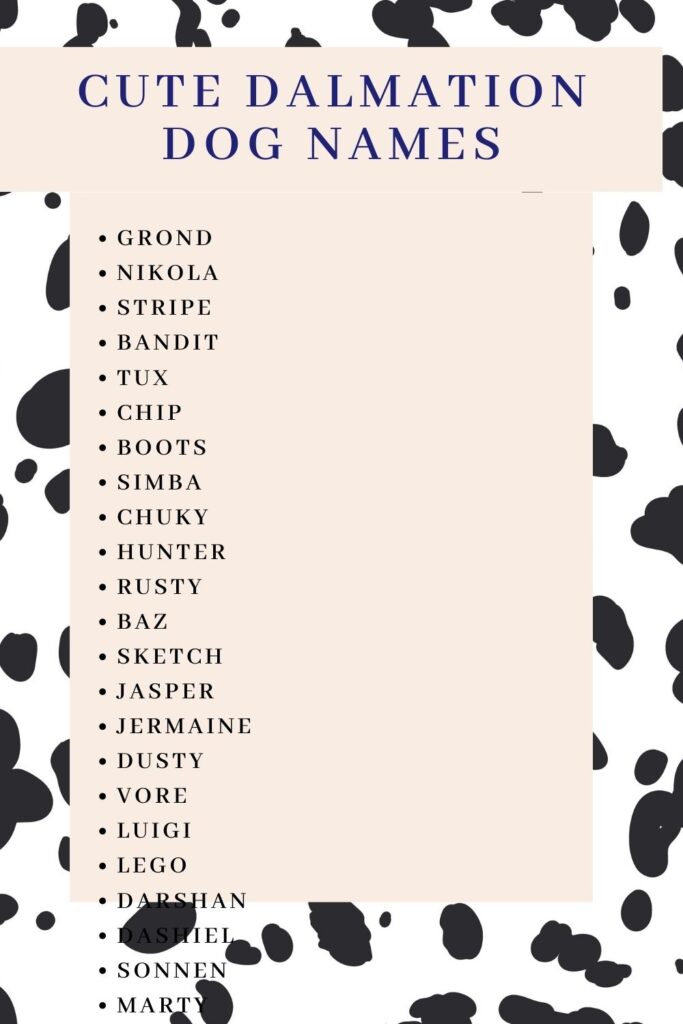 dalmation dog names