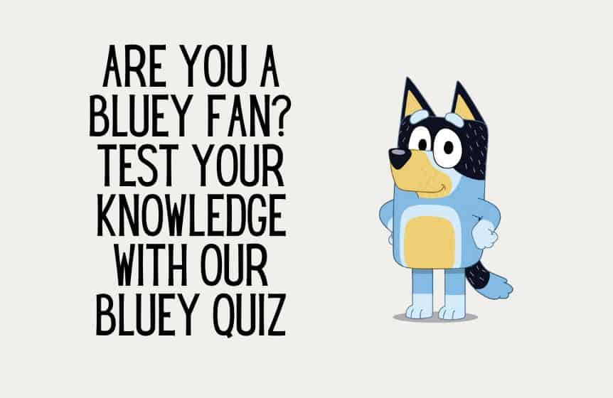 Bluey quiz