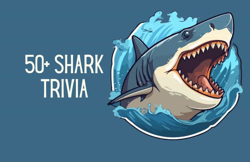 50+ Shark Trivia