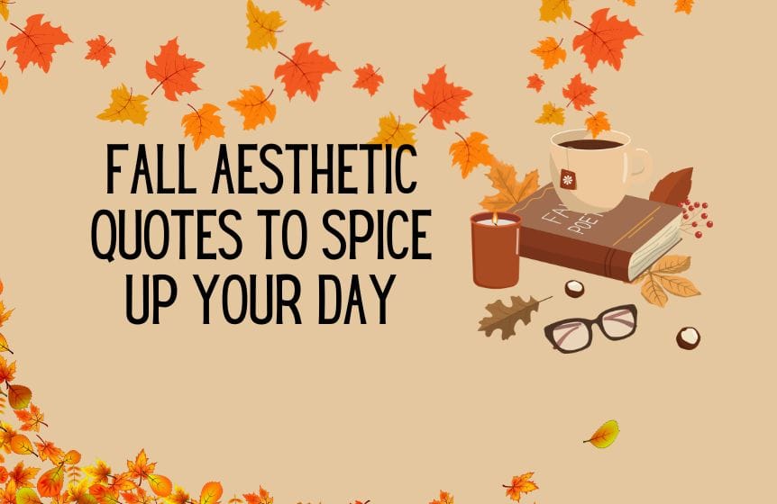 Fall Aesthetic Quotes to Spice Up Your Day